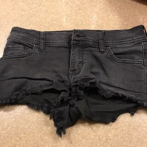 Faded black distressed short shorts